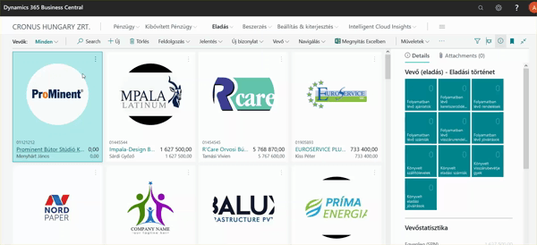 Business Central adatpanel elrejtése